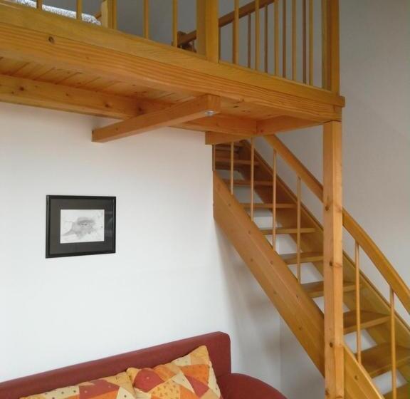 استودیوی استاندارد, Tourist Farm Joannes