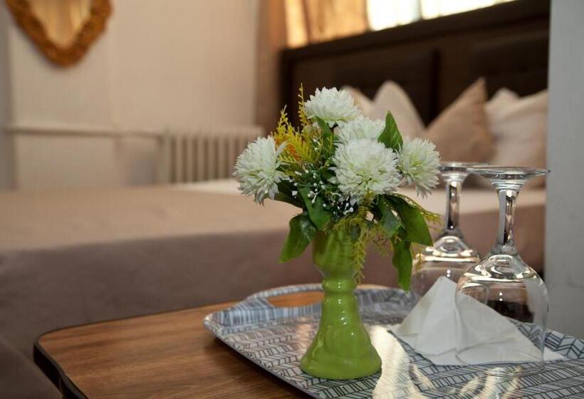 اتاق استاندارد, Metropol