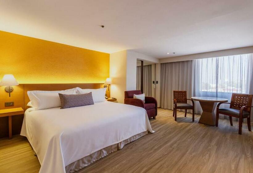 سوییت جونیور, Camino Real Aeropuerto