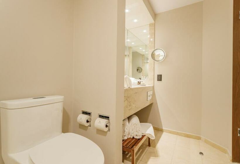 اتاق سوپریور, Camino Real Aeropuerto