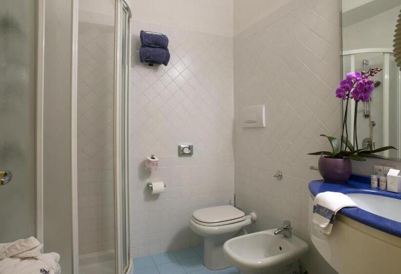 ダブルベッドのスタンダードシングルルーム, Masini