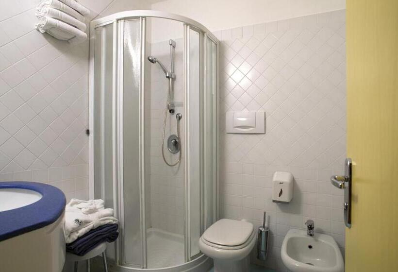 スタンダードルーム, Masini