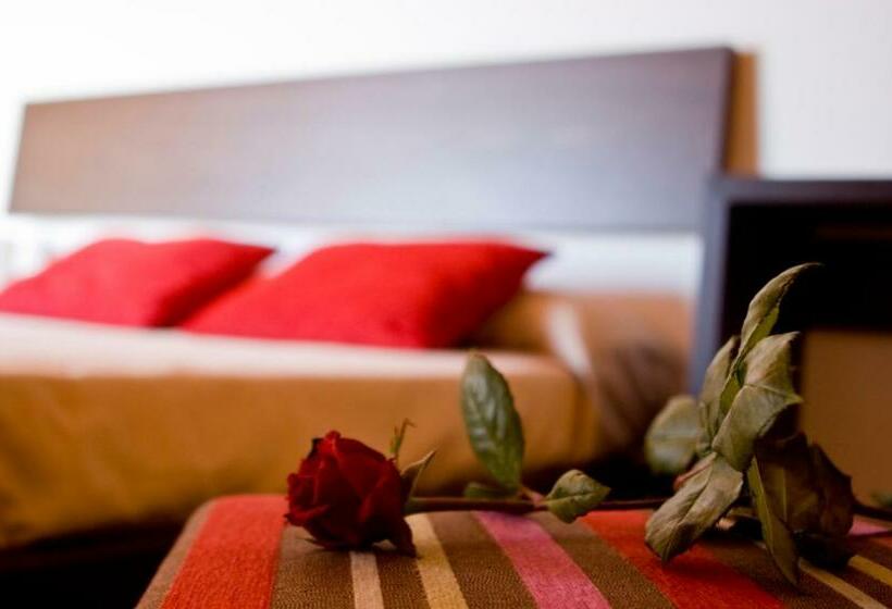 スタンダードルーム, Grupoandria Hotel Platja Gran