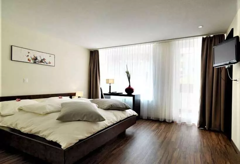 اتاق استاندارد یک نفره, Wellnesshotel Schweizerhof