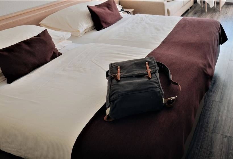 غرفة قياسية فردية, Wellnesshotel Schweizerhof