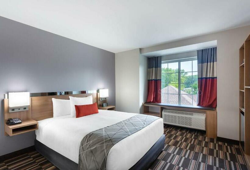 חדר סטנדרט, Microtel Inn & Suites By Wyndham Amsterdam