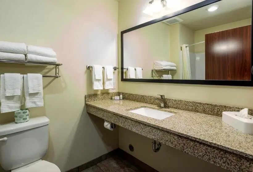 キングサイズベッドのスタンダードルーム, Cobblestone Inn & Suites  Brookville