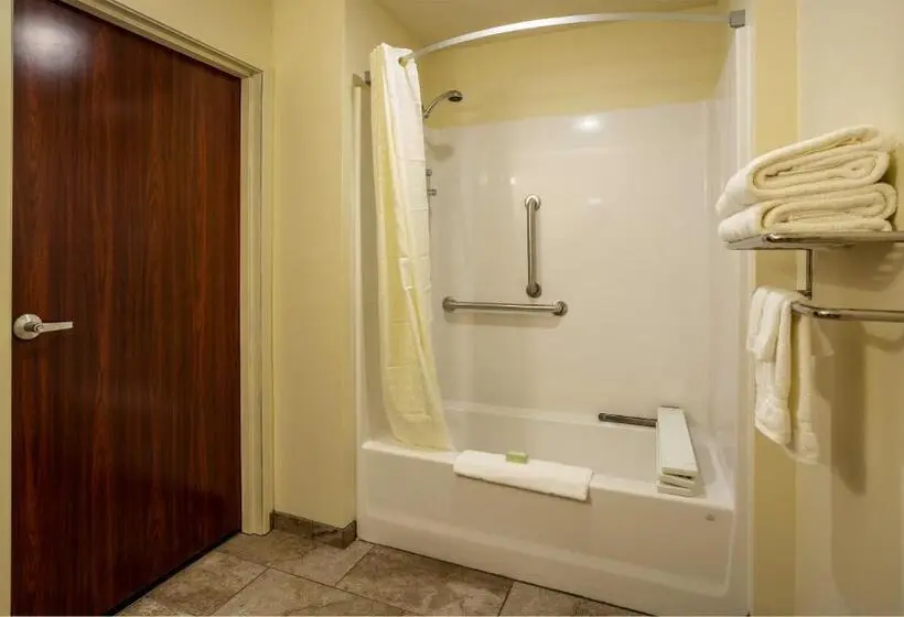 身障者適用キングサイズベッドルーム, Cobblestone Inn & Suites  Brookville