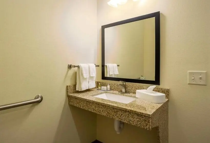 身障者適用キングサイズベッドルーム, Cobblestone Inn & Suites  Brookville