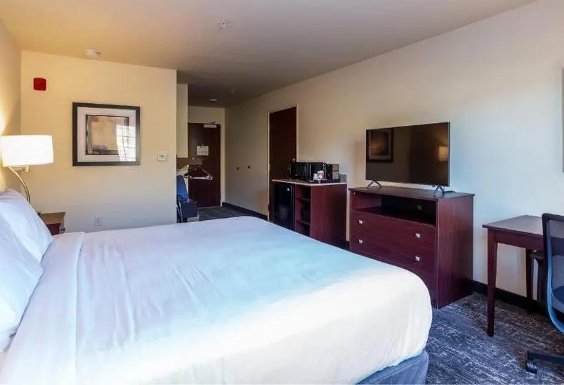 身障者適用キングサイズベッドルーム, Cobblestone Inn & Suites  Brookville