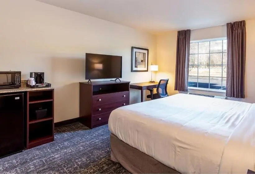 身障者適用キングサイズベッドルーム, Cobblestone Inn & Suites  Brookville