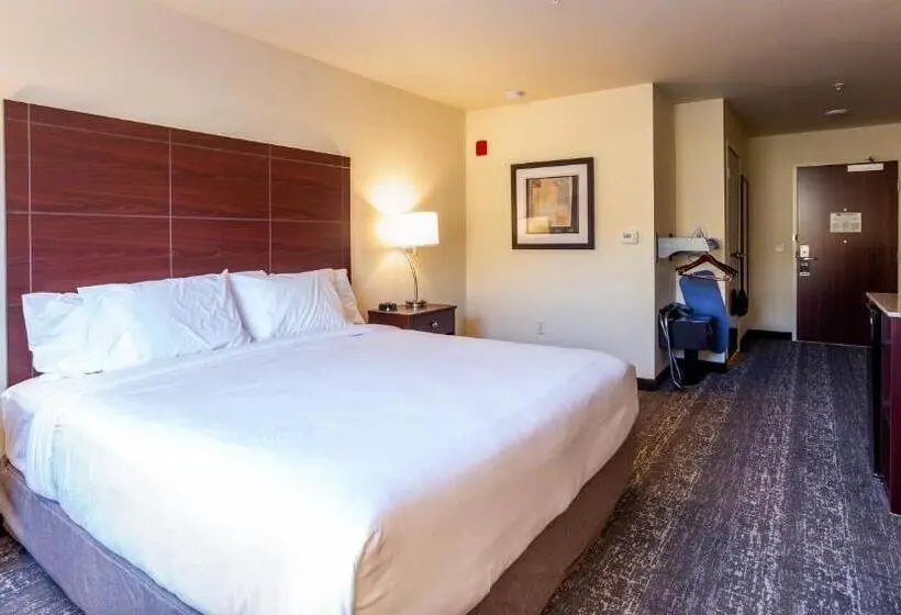 身障者適用キングサイズベッドルーム, Cobblestone Inn & Suites  Brookville