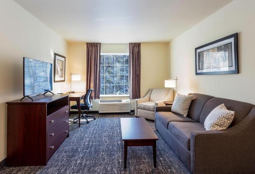 Люкс, Cobblestone Inn & Suites  Brookville