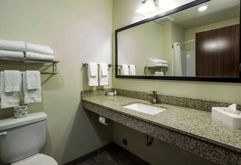 スイート, Cobblestone Inn & Suites  Brookville