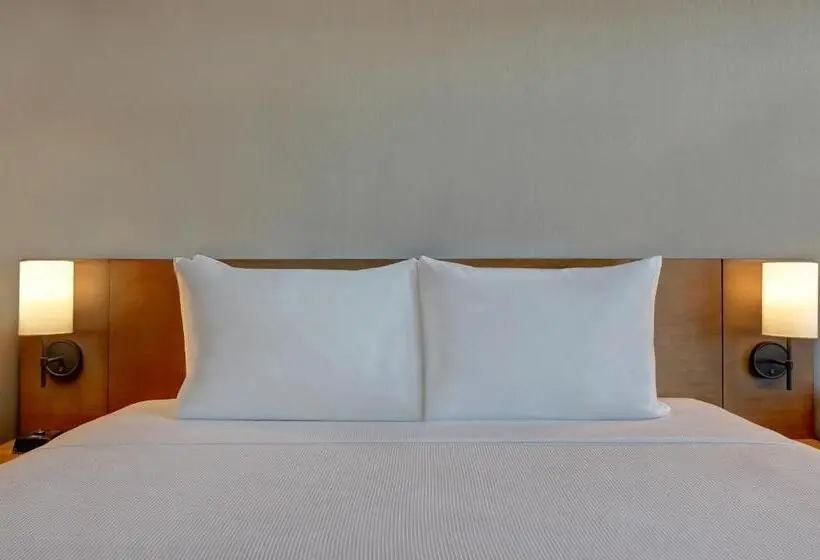 身障者適用キングサイズベッドルーム, Hyatt Place Prince George