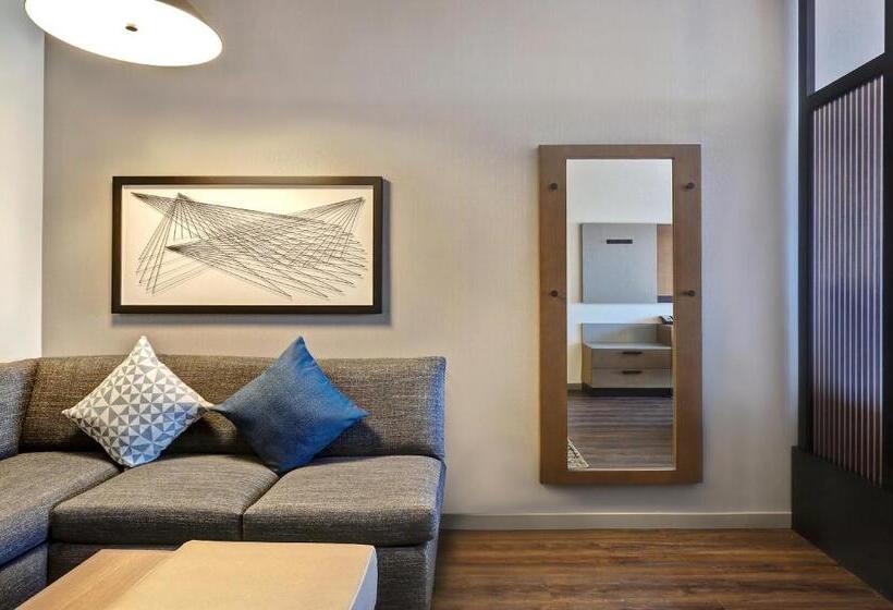 اتاق استاندارد با تخت بزرگ برای معلولان, Hyatt Place Prince George