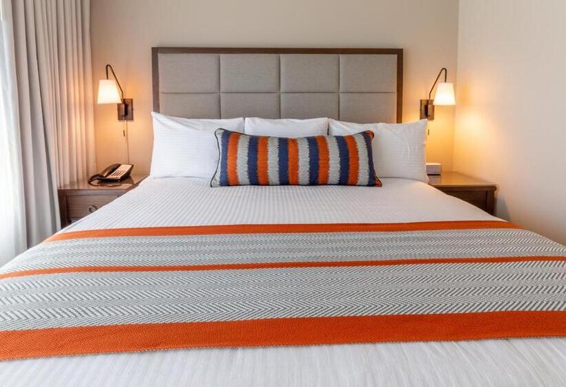 غرفة أساسية, Lakeside Lodge Clemson