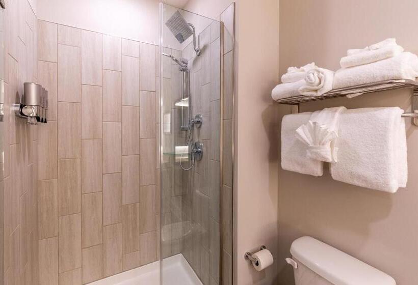 غرفة قياسية سرير كينج, Lakeside Lodge Clemson