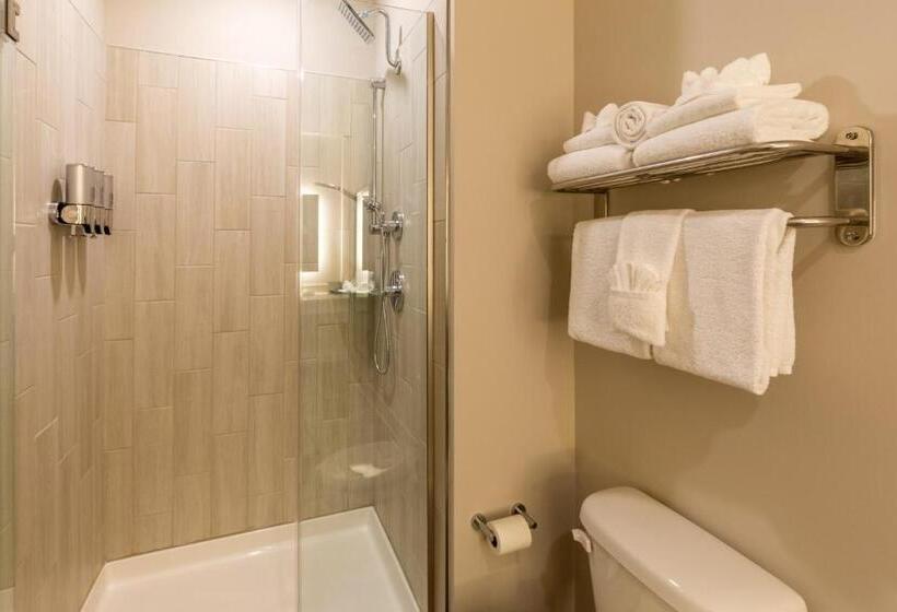 غرفة قياسية سرير ملكى, Lakeside Lodge Clemson