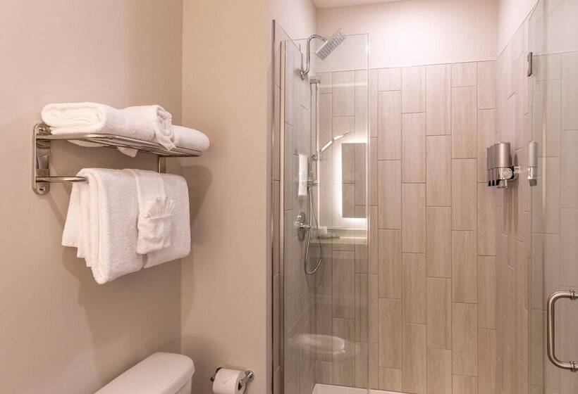 غرفة قياسية, Lakeside Lodge Clemson