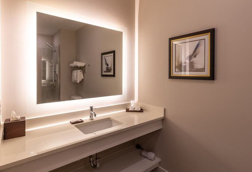 غرفة قياسية, Lakeside Lodge Clemson