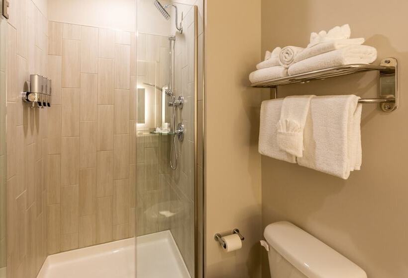 غرفة قياسية, Lakeside Lodge Clemson