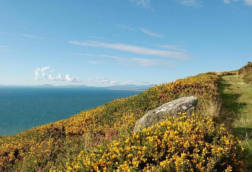 غرفة أساسية, Saint Cadfans Lodge