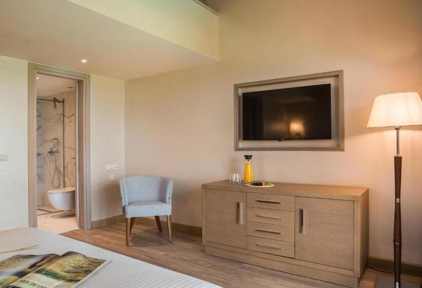 복층 룸, Electra Kefalonia Hotel & Spa
