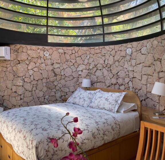 جناح ديلوكس, Cabañas Caballieri