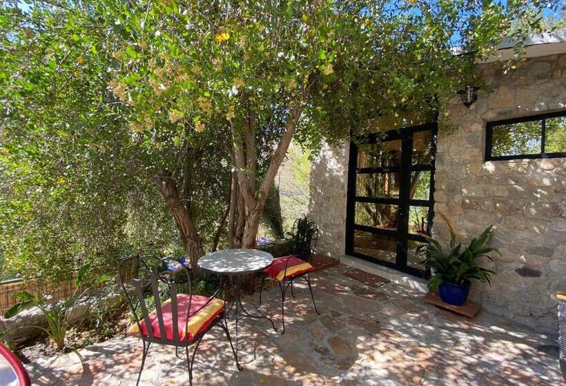 إستوديو ديلوكس, Cabañas Caballieri