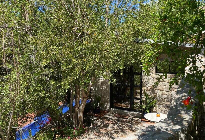 إستوديو ديلوكس, Cabañas Caballieri