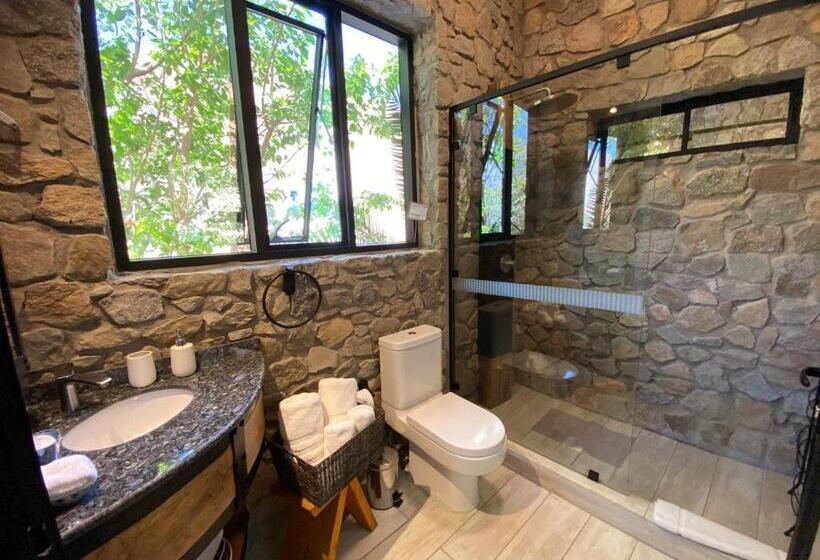 إستوديو ديلوكس, Cabañas Caballieri