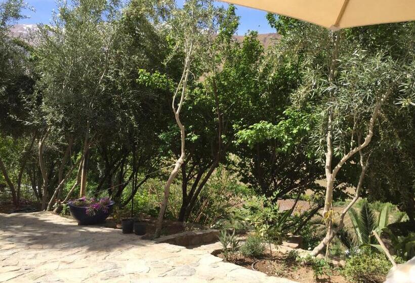 جناح ديلوكس سرير كينج, Cabañas Caballieri