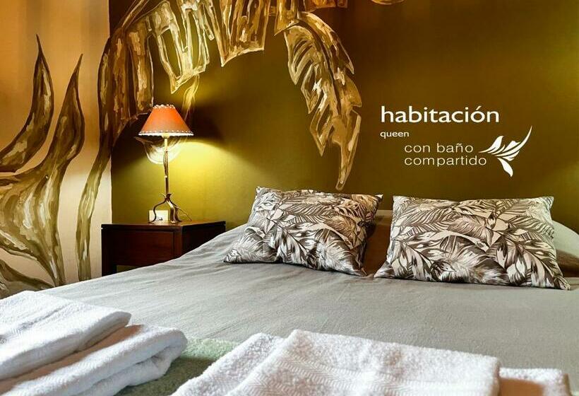 חדר סטנדרט חדר אמבטיה משותף, Calchaquíes Home Hostel