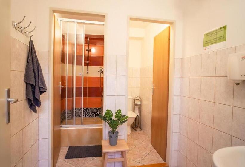 إستوديو قياسى, Internesto Brno