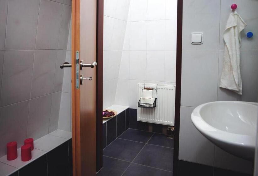 Апартаменты Deluxe 1 Спальня, Internesto Brno