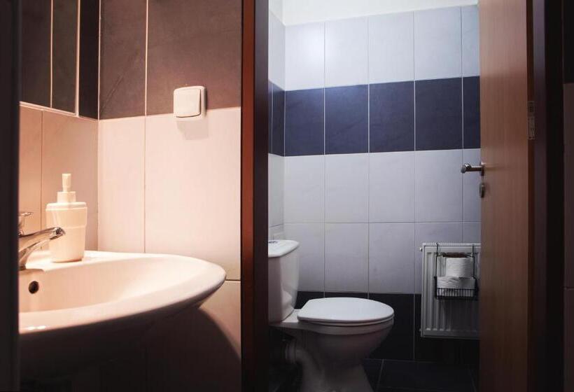 Апартаменты Deluxe 1 Спальня, Internesto Brno