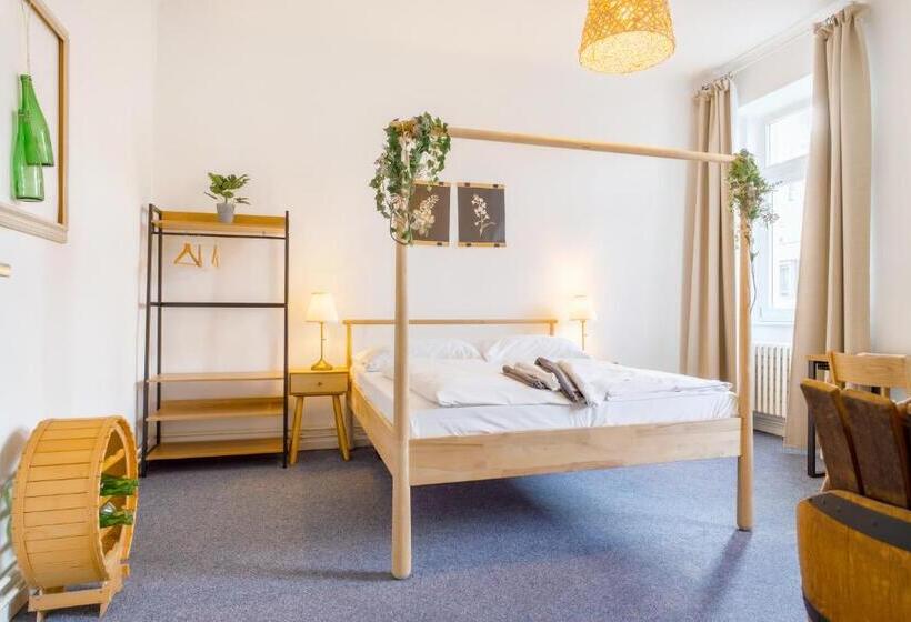 Номер Стандарт Совместная Ванная, Internesto Brno