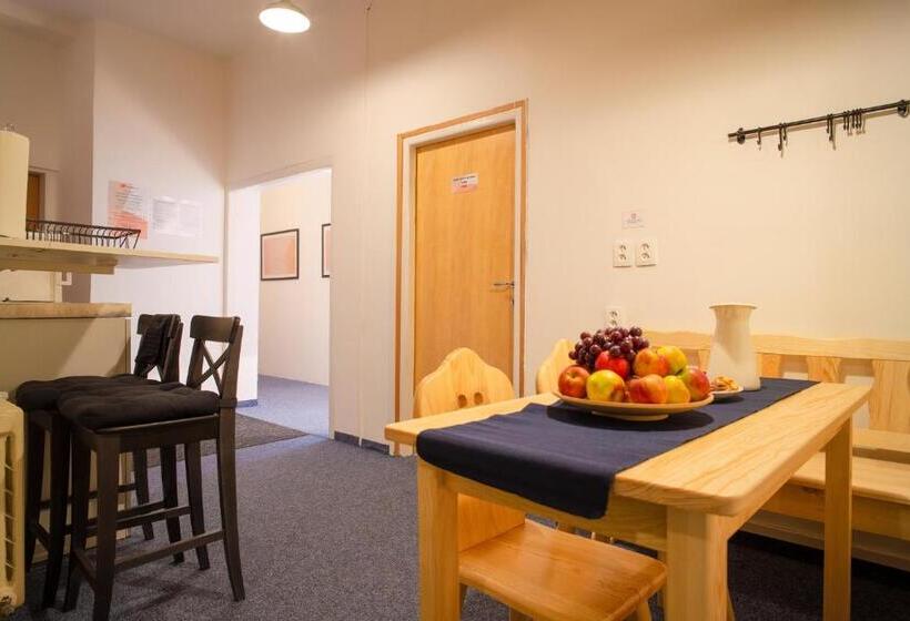 Номер Стандарт Совместная Ванная, Internesto Brno