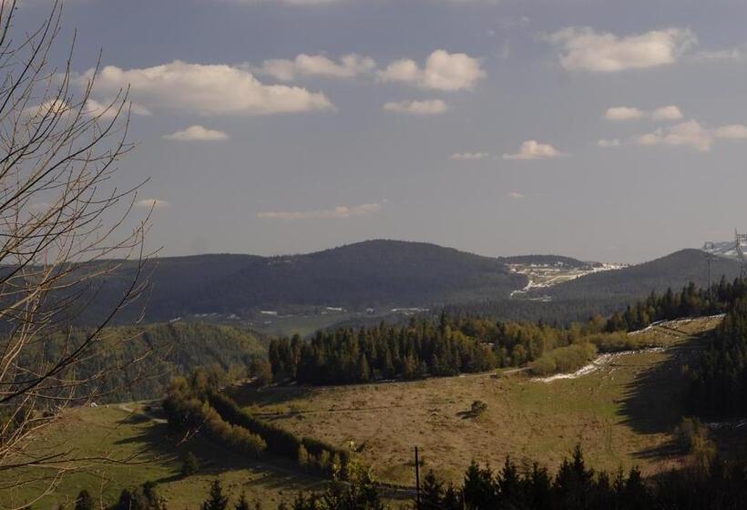 דירה בת חדר שינה 1 עם נוף, Les ô Welches Côté Lac