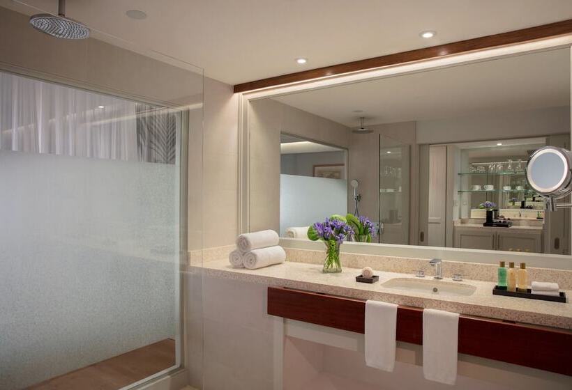 سوئیت جونیور با چشم‌انداز کوهستان, Secrets St. Martin Resort & Spa   All Inclusive, Adults Only
