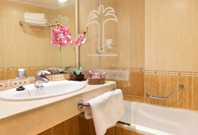 استودیوی استاندارد, Gf Noelia