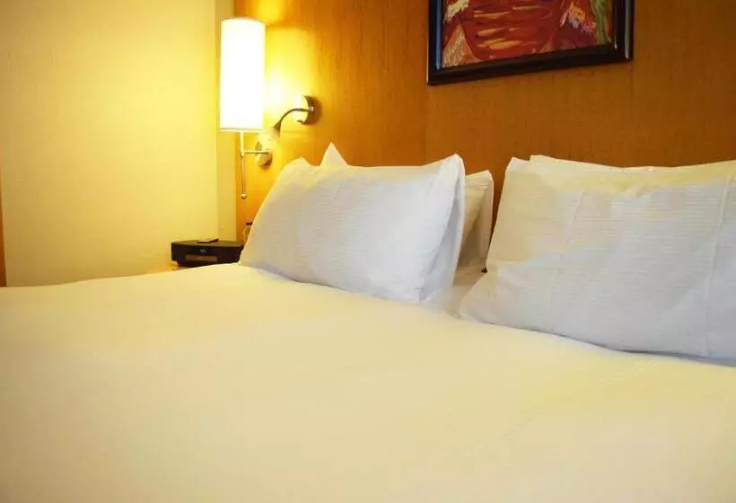 اتاق لوکس با تخت بزرگ, Sofitel Montreal Golden Mile