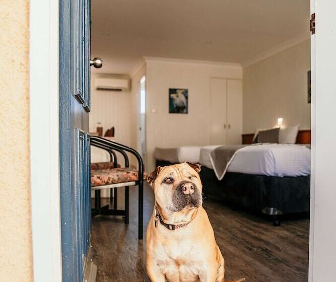 اتاق استاندارد, Outback Motel Mt Isa