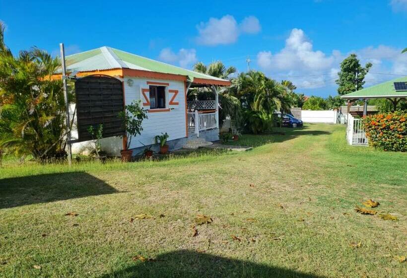 بانگلوی استاندارد, Domaine De Portland