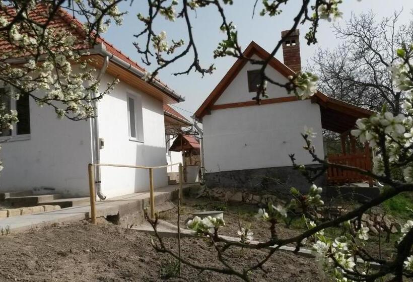 Апартаменты 3 Спальни, Farkaskő Vendégház