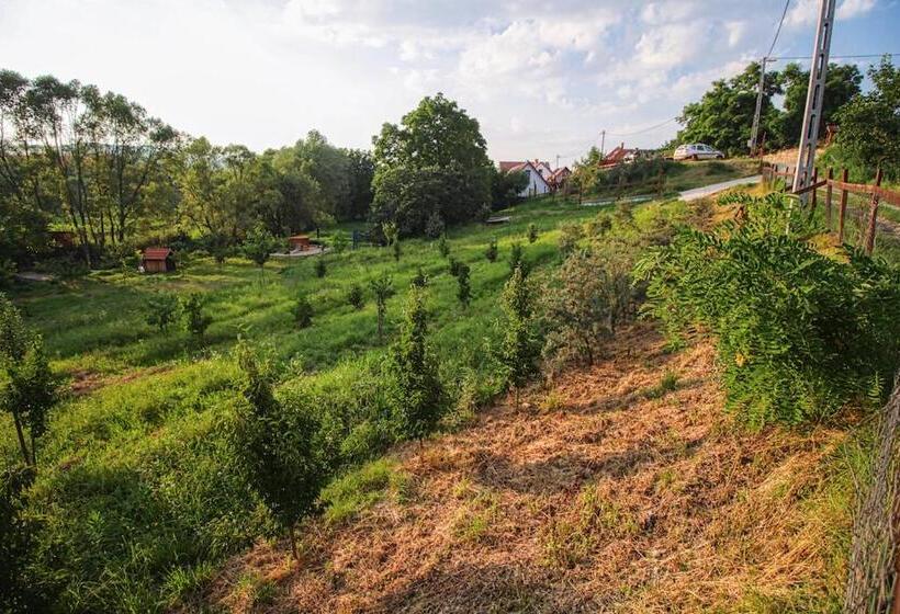 Дом 1 Спальня, Farkaskő Vendégház