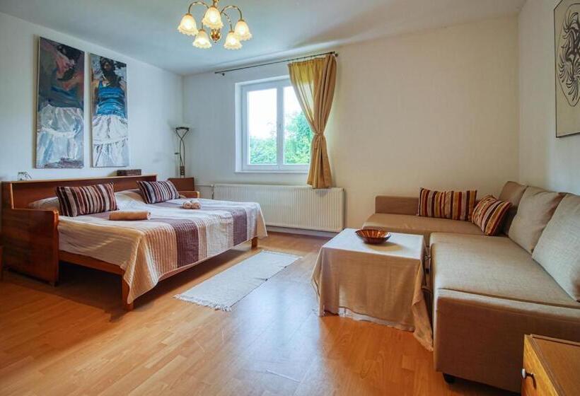 Апартаменты 3 Спальни, Farkaskő Vendégház