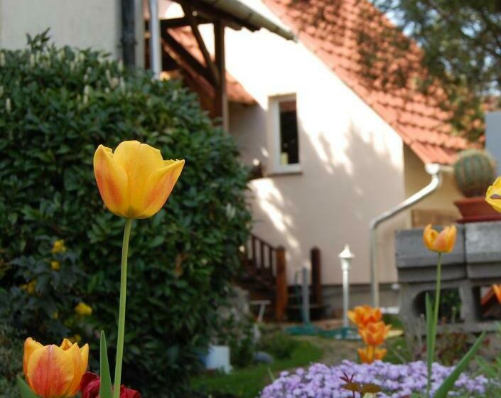 סטודיו סטנדרט עם מרפסת, Maya Guesthouse