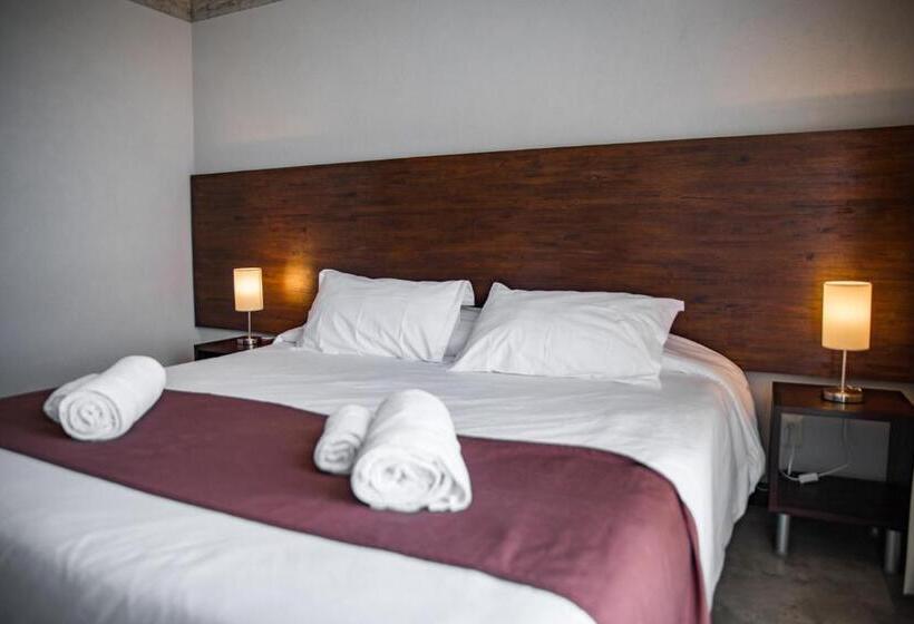 آپارتمان سوپریور 1 خوابه, Cara Colomba